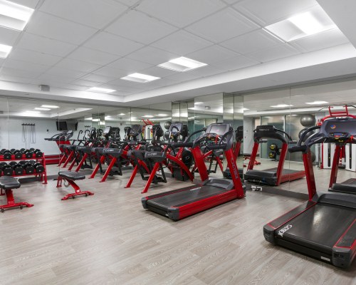 Image Description to Come