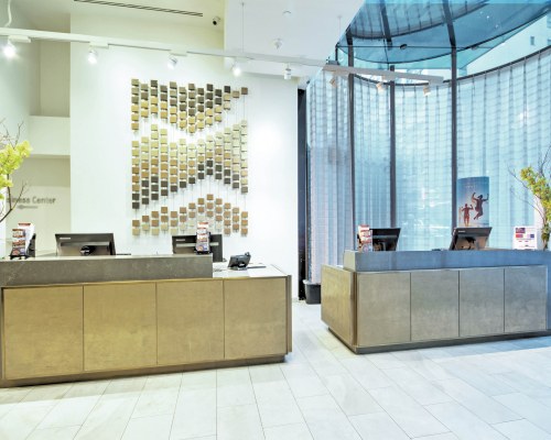 Image Description to Come