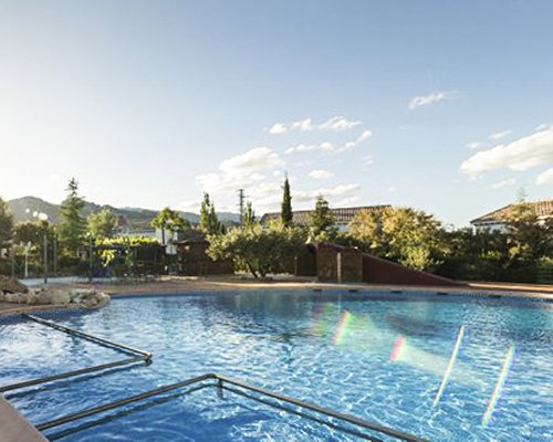 An outdoor swimming pool surrounded by trees.