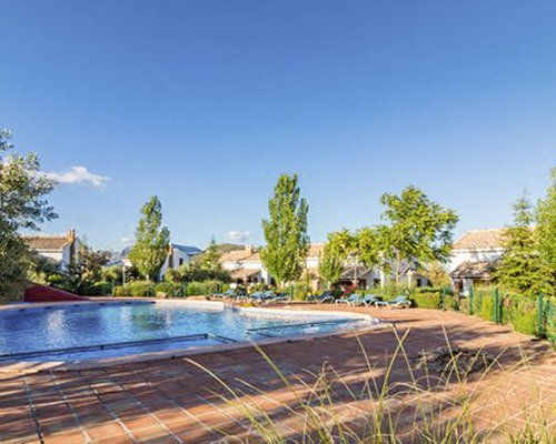 An outdoor swimming pool with chaise lounge chairs surrounded by trees alongside the resort units.