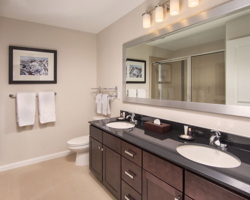 A BATHROOM WITH A SHOWER STALL AND DOUBLE SINK VANITY.
