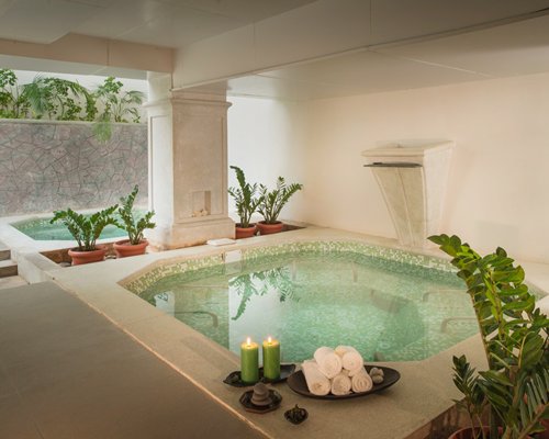 View of two hot tubs with potted plants.