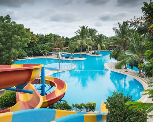 An outdoor swimming pool with water slides surrounded by trees.