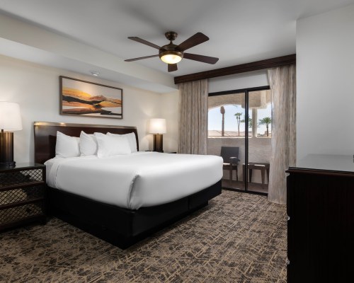 Image Description to Come