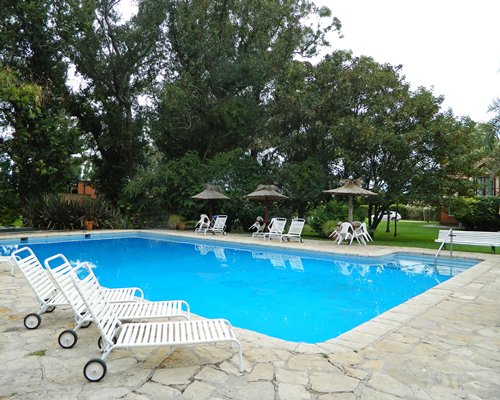 An outdoor swimming pool with chaise lounge chairs and thatched sunshades alongside trees.