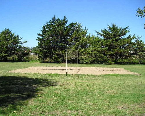 A scenic outdoor volleyball court.