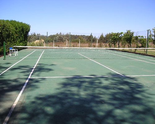 An outdoor tennis court alongside the trees.