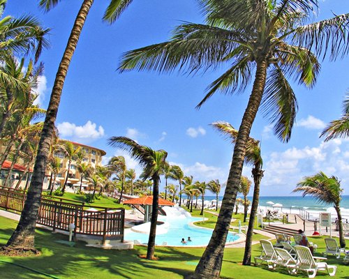 Scenic outdoor swimming pool with chaise lounge chairs trees and sunshades facing the ocean.