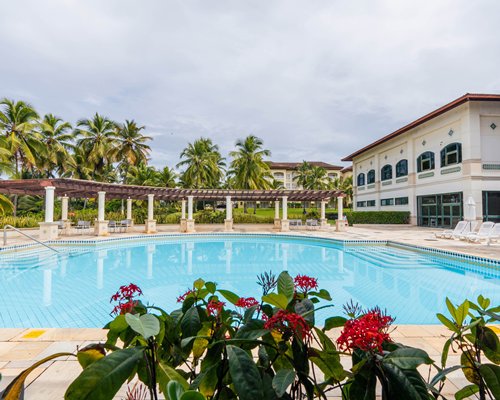 An outdoor swimming pool with sunshades and chaise lounge chairs surrounded by trees.