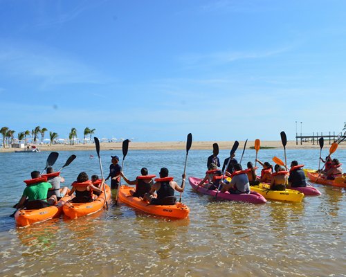 A group of people kayaking on the waterfront.