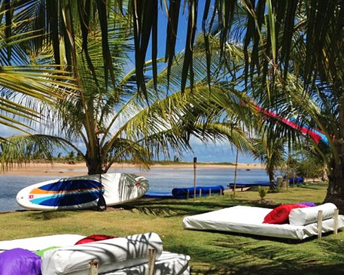 An outdoor lounge area with coconut trees alongside the waterfront.