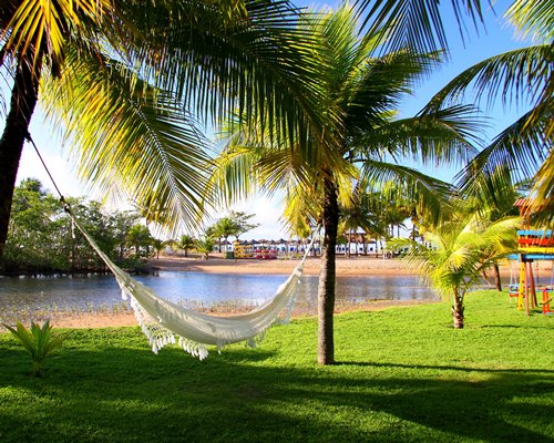 A swing in a well maintained lawn with the waterfront.