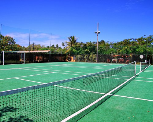 View of outdoor tennis courts alongside the trees.