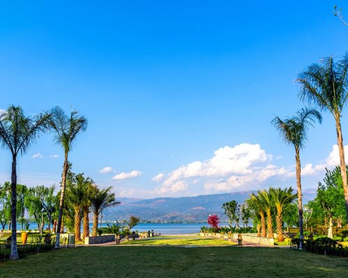 Exterior view of palm trees alongside the sea.