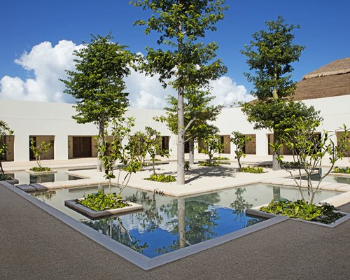 An outdoor pool with trees alongside the resort.