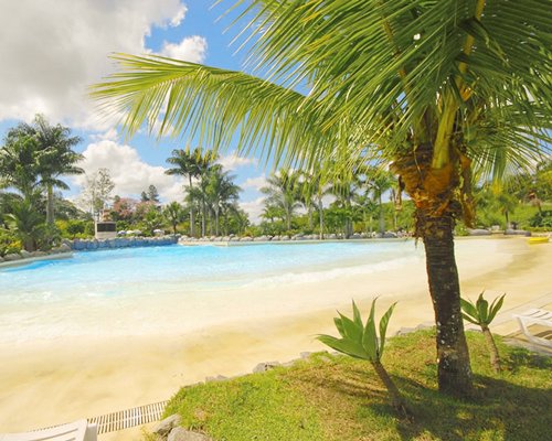 An outdoor pool surrounded by trees.