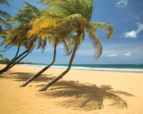 Wyndham Rio Mar