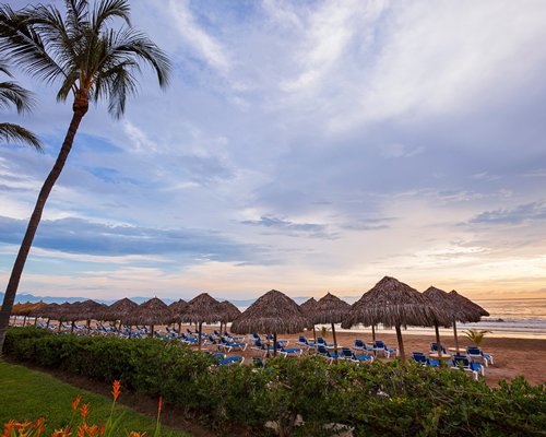 Hard Rock Hotel Vallarta-4 Nights