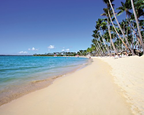 VIEW OF THE BEACH WITH TREES.