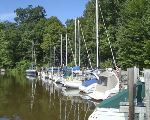 Harbor Club South Haven