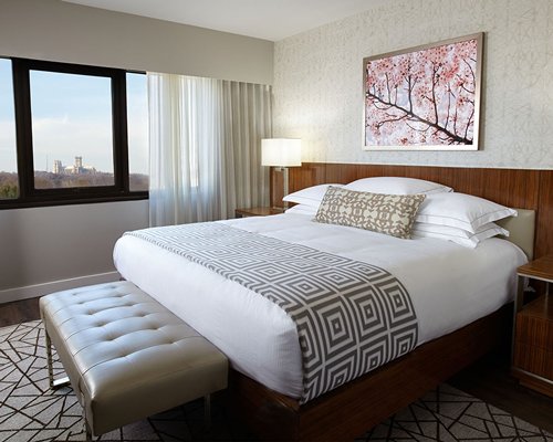 A well furnished bedroom with a lamp and an outside view.