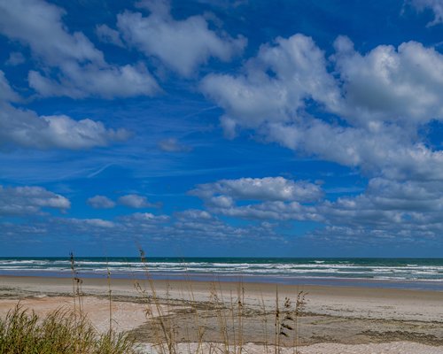 The Cove on Ormond Beach South Tower