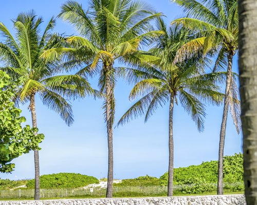 Crescent on South Beach, a Hilton Vacation Club