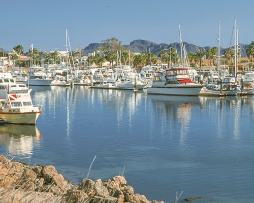 Sea of Cortez Beach Club