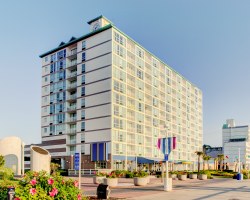 Image Description to Come