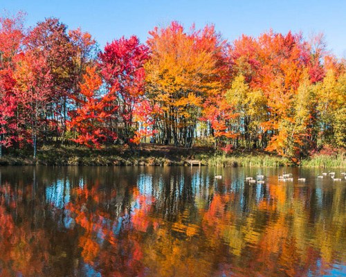 Snow Ridge Village by Sundance Vacations