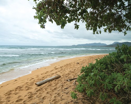 Shell Vacations Club @ Kauai Coast Resort at the Beachboy