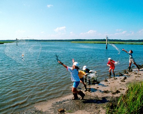 Disney's Hilton Head Island Resort