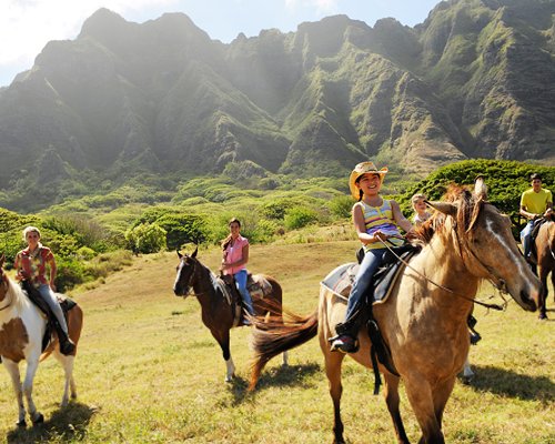 A group of people on a horseback riding on the landscaped area.