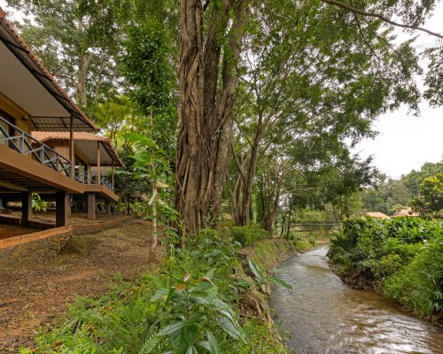 Sterling Vythiri Wayanad - 4 Nights