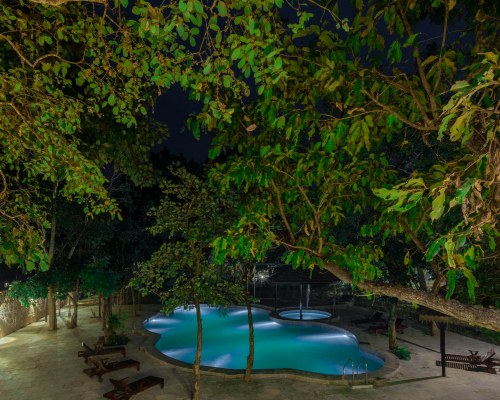 Sterling Padam Pench - 4 Nights