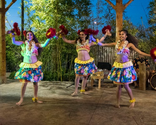 7 NIGHT PACKAGE: Las Vegas - Veterans Day & Mecum Car Auction