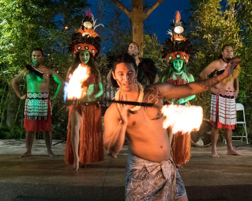 7 NIGHT PACKAGE: Las Vegas - Veterans Day & Mecum Car Auction