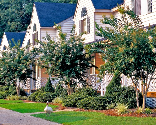 7 NIGHT PACKAGE: Colonial Williamsburg & Washington D.C.