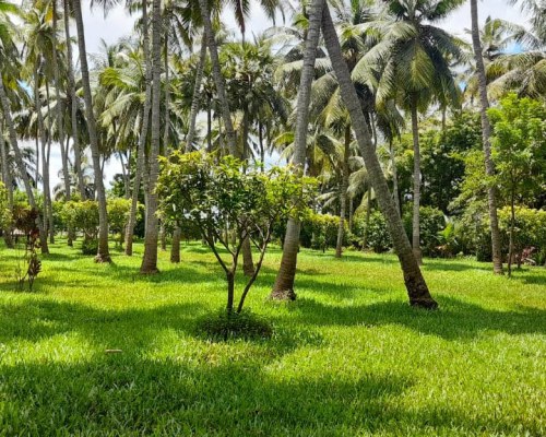 Dindi RVR Club Mahindra Resort