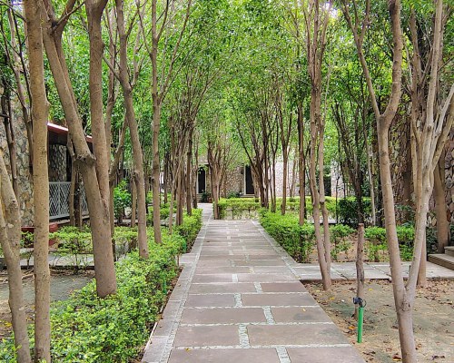 Tiger Kingdom by Club Mahindra