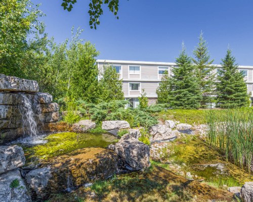 Vitality Vacations at Living Water Resort