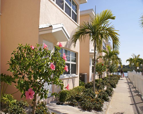 An exterior view of multiple units with flowering shrubs and trees.