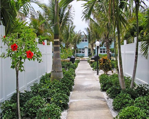 A view of the pathway leading to the resort.