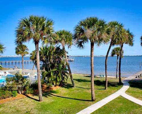 Grass and palm trees overlooking the Indian River Lagoon.