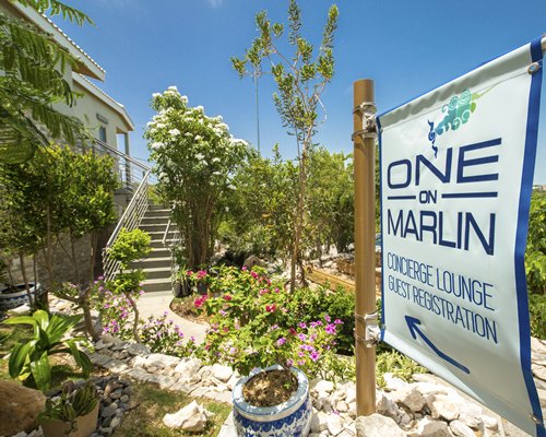 One On Marlin Image