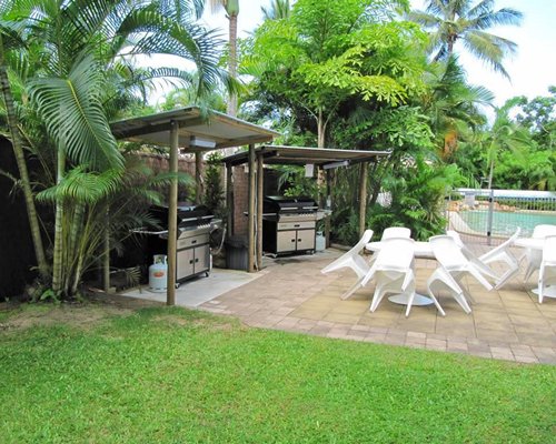 Island Palms