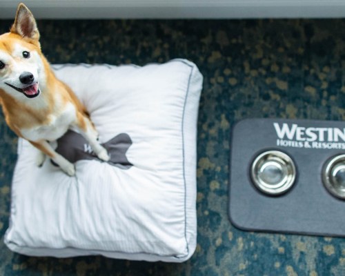 Westin Cape Coral Resorts at Marina Village - 3 Nights