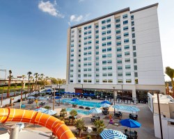 Image Description to Come