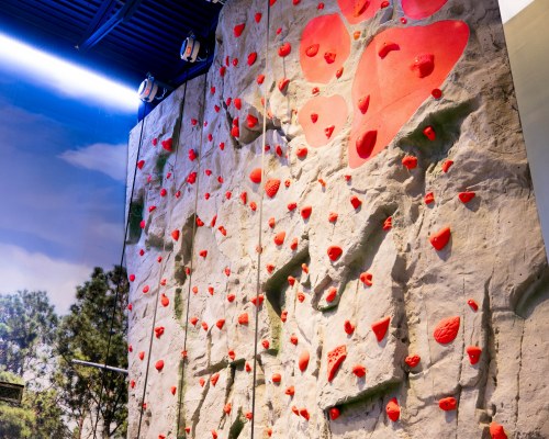 Great Wolf Lodge Atlanta - 5 Nights