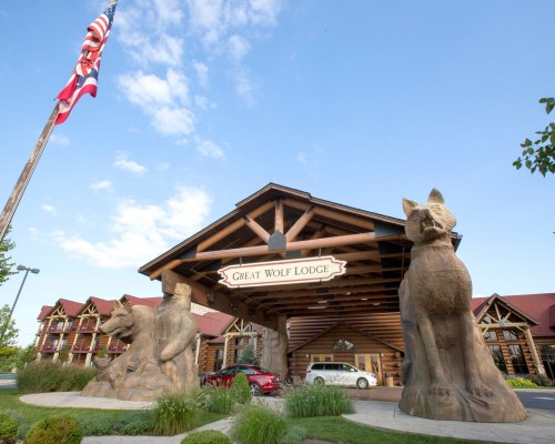 Great Wolf Lodge Mason Image